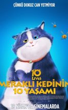 Meraklı Kedinin 10 Yaşamı