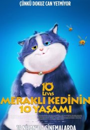 Meraklı Kedinin 10 Yaşamı